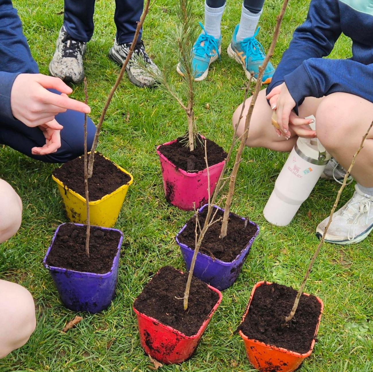 Children learning about trees