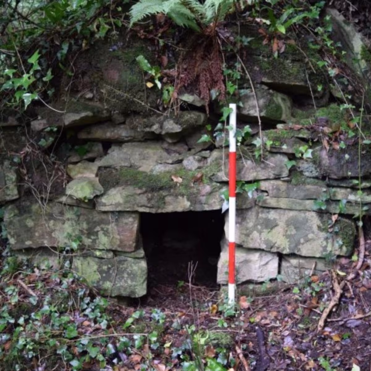 Leitrim Sweat House